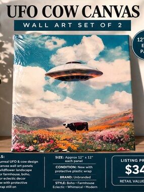UFO Cow Canvas Wall Art Set of 2 Boho Farmhouse Whimsical Decor